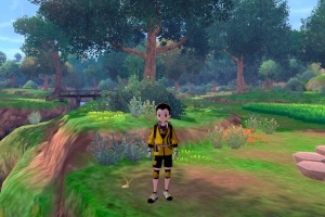 Diglett Alola Bosque Concentracion 01