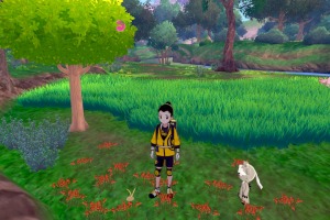 Diglett Alola Bosque Concentracion 03