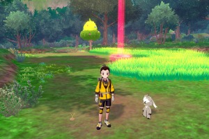 Diglett Alola Bosque Concentracion 04