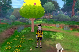 Diglett Alola Bosque Concentracion 06