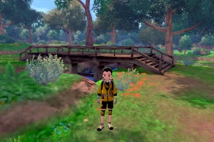 Diglett Alola Bosque Concentracion 08