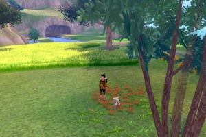 Diglett Alola Humedal Frescor 04