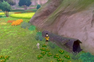 Diglett Alola Humedal Frescor 19