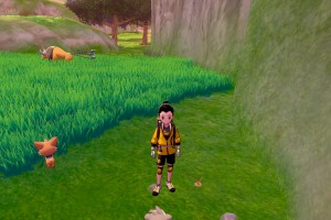 Diglett Alola Llano Entrenamiento 01