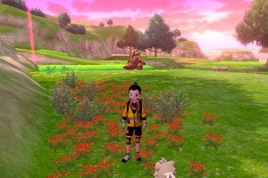 Diglett Alola Llano Entrenamiento 02