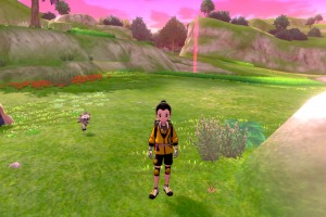 Diglett Alola Llano Entrenamiento 03