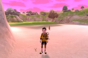 Diglett Alola Llano Entrenamiento 09