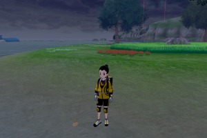 Diglett Alola Mar Gimnastico 10