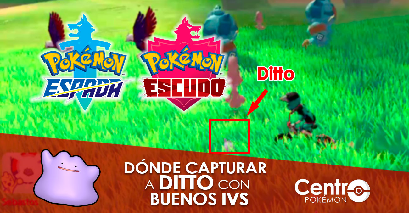 Cómo Subir de Nivel Rápido - Guía Pokémon Espada y Pokémon Escudo