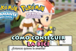 Cómo conseguir la Bici
