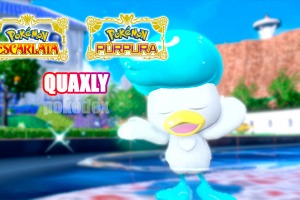 Quaxly – Pokédex