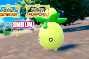 Smoliv – Pokédex