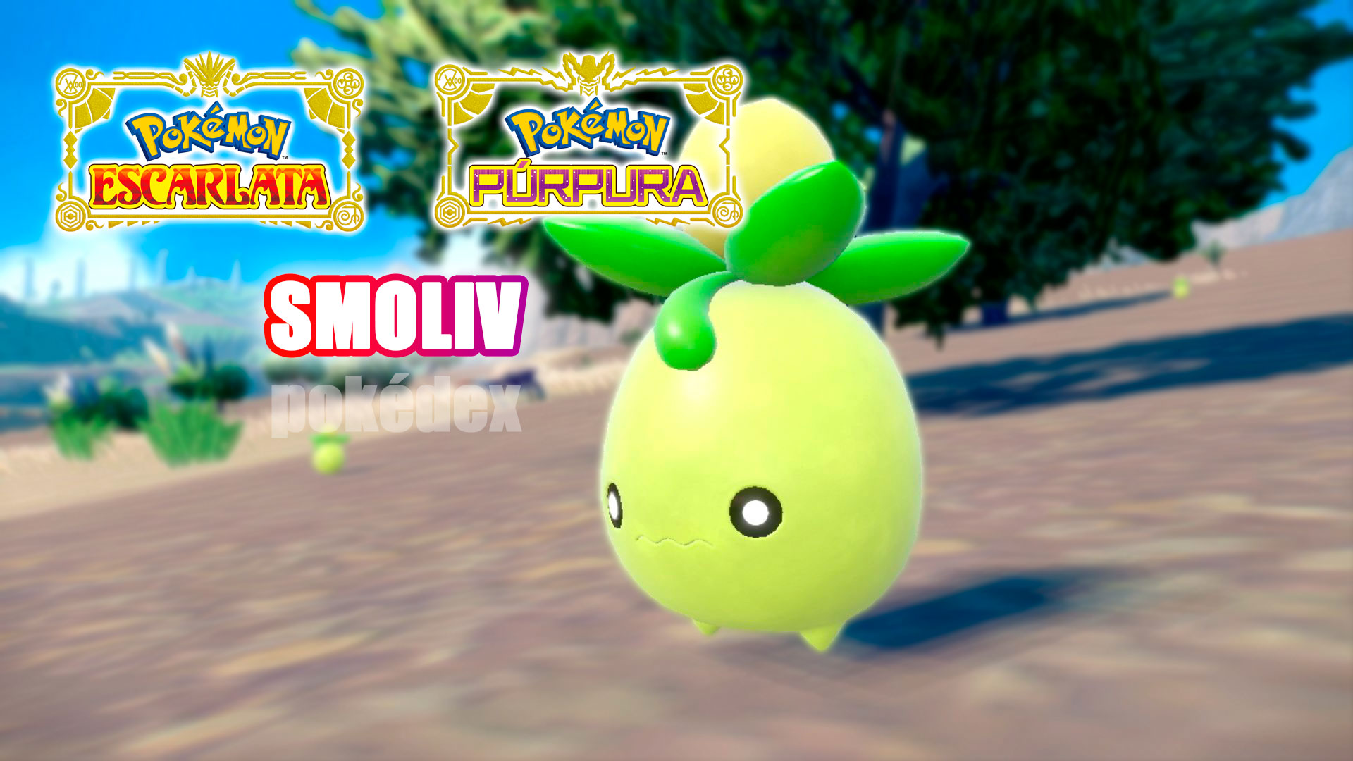 Smoliv – Pokédex - Guía Pokémon Escarlata y Pokémon Púrpura