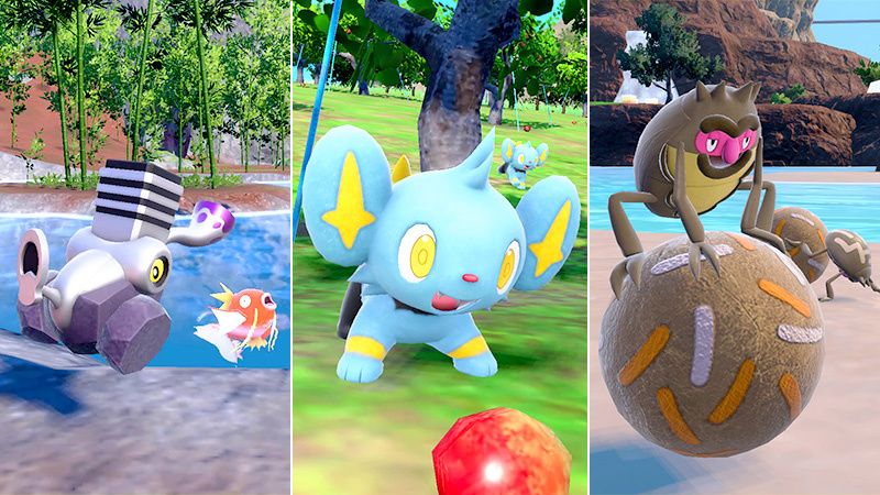 Evento Apariciones Masivas Pokemon Sv Magikarp Varoom Shinx Rellor