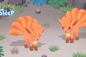 Pokémon Sleep añadirá a Vulpix y Ninetales al juego