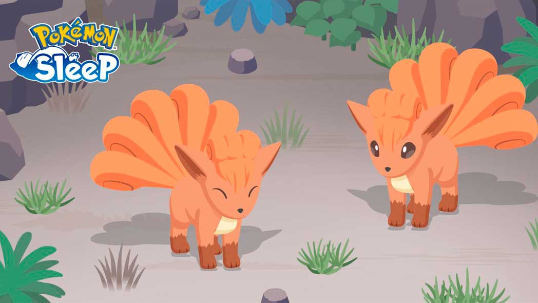 Vulpix Ninetales Pokemon Sleep