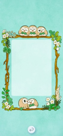 Fondo Rowlet Pokemon Tcg Pocket