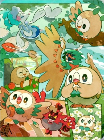 Portada Rowlet Pokemon Tcg Pocket