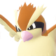 Pidgey