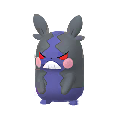 877 Morpeko Voraz Shiny Pokemon Go