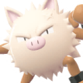 Primeape