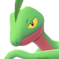 Grovyle
