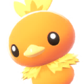 Torchic