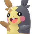 Morpeko