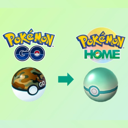 Safari Balls Pokemon Go Home