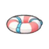 Swim Ring